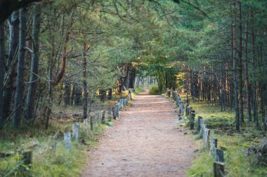 Ulusal Park Vorpommersche Boddenlandschaft Fischland Zingst D