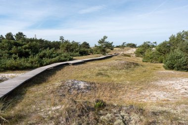 Ulusal Park Vorpommersche Boddenlandschaft Fischland Zingst D