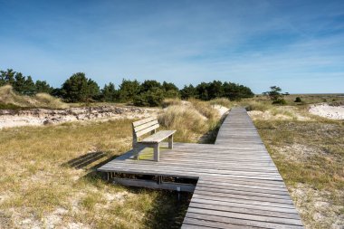 Ulusal Park Vorpommersche Boddenlandschaft Fischland Zingst D