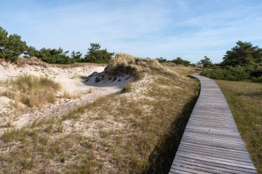 Ulusal Park Vorpommersche Boddenlandschaft Fischland Zingst D