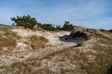 Ulusal Park Vorpommersche Boddenlandschaft Fischland Zingst D