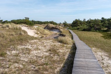 Ulusal Park Vorpommersche Boddenlandschaft Fischland Zingst D