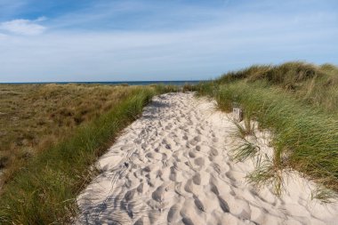 Ulusal Park Vorpommersche Boddenlandschaft Fischland Zingst D