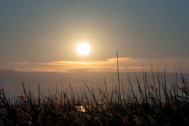 Baltık Denizi Fischland Zingst Darss Mecklenburg Vorpommern