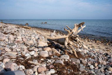 Ostseestrand Ostsee Sellin Mecklenburg Vorpommern