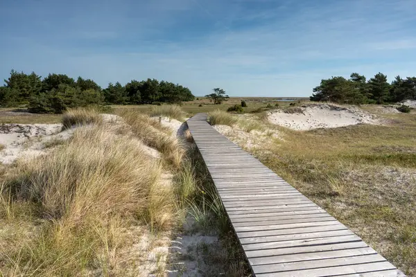 National Parks Vorpommersche Boddenlandschaft Fischland Zingst D