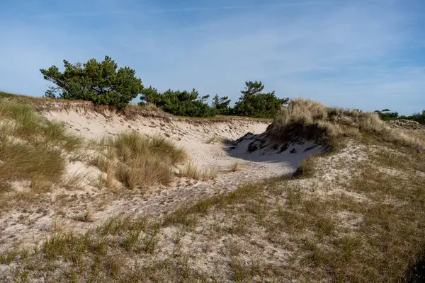 Ulusal Park Vorpommersche Boddenlandschaft Fischland Zingst D