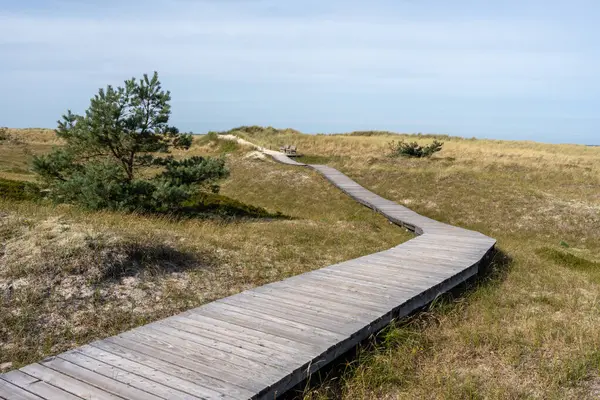 Ulusal Park Vorpommersche Boddenlandschaft Fischland Zingst D