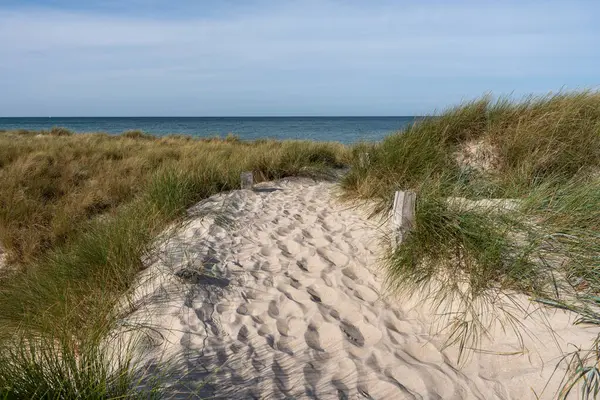 Ulusal Park Vorpommersche Boddenlandschaft Fischland Zingst D