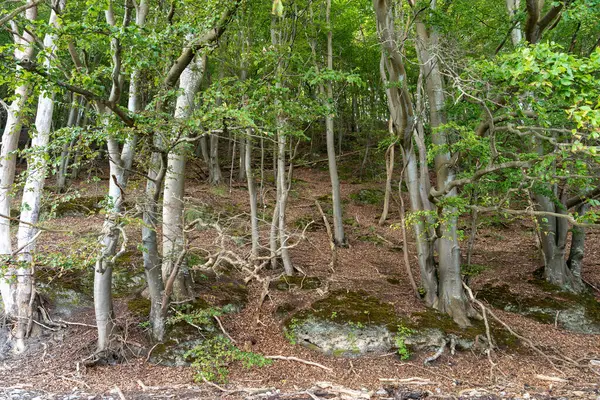 Ostseestrand Ostsee Sellin Mecklenburg Vorpommern