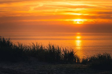 Kastanienallee im Nebel und Sonnenaufgang Insel Ruegen Mecklenburg Vorpommern