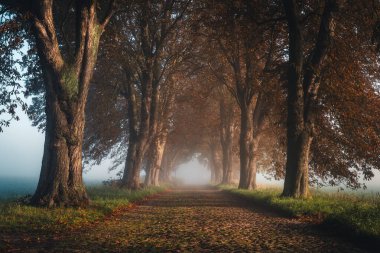 Insel Ruegen Ostsee Mecklenburg Vorpommern