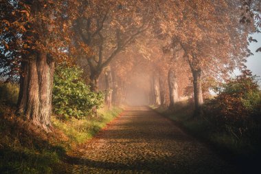 Insel Ruegen Ostsee Mecklenburg Vorpommern