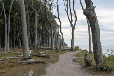 Kreidekste, Kreidefelsen Milli Parkı Jasmund Ostsee