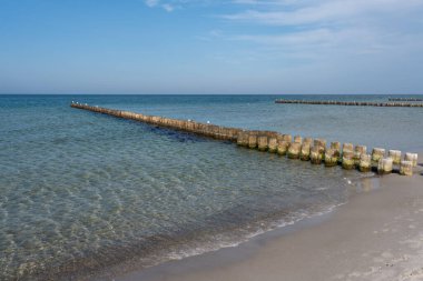 Mecklenburg Vorpommern 'deki Ahrenshoop yakınlarında Baltık Denizi kıyısı