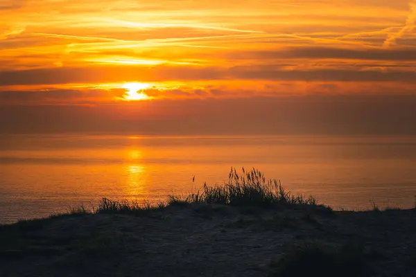 Kastanienallee im Nebel und Sonnenaufgang Insel Ruegen Mecklenburg Vorpommern