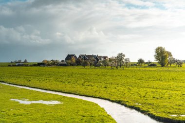 Kırsal bölgedeki küçük bir Hollanda köyünün panoramik manzarası 