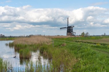 Kinderdijk yakınlarında geleneksel Alman yel değirmenleri, 