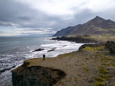 Laekjavik plaj oluşumunun panoraması deniz yığınları kara kum atlantik okyanus kıyısı kulesi doğu fiyortları İzlanda Avrupa