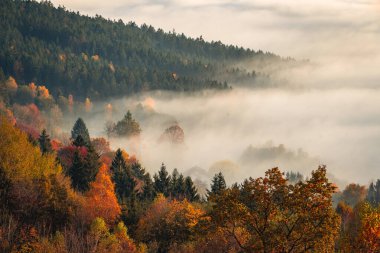 Günbatımında Bavyera Almanya 'da sisli ve renkli ormanlarla güzel sonbahar manzarası