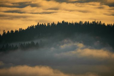 Sonbaharda güzel bir manzara. Bavyera Ormanı 'nda gün batımında vadide yer sisi.