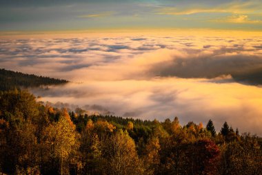 Sonbaharda güzel bir manzara. Bavyera Ormanı 'nda gün batımında vadide yer sisi.