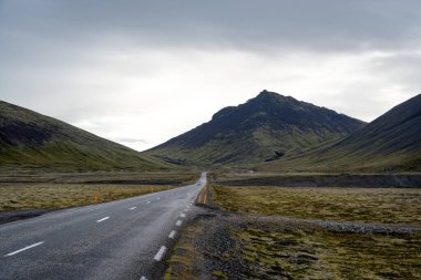 Vestrahorn Stoksnes Adaları yakınlarında tipik İzlanda koyunlarıyla güzel İzlanda manzarası