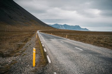 Vestrahorn Stoksnes Adaları yakınlarında tipik İzlanda koyunlarıyla güzel İzlanda manzarası