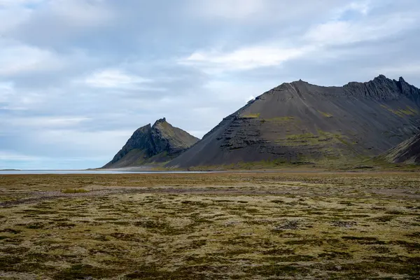 Vestrahorn Stoksnes Adaları yakınlarında tipik İzlanda koyunlarıyla güzel İzlanda manzarası