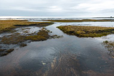 İzlanda Deniz Burnu. İzlanda 'nın güneydoğusundaki Stoksnes' de Vestrahorn İzlanda 'nın muhteşem akşam manzarası. İzlanda, Avrupa. İnanılmaz doğa manzarası. Popüler seyahat yerleri