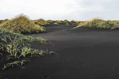 İzlanda Deniz Burnu. İzlanda 'nın güneydoğusundaki Stoksnes' de Vestrahorn İzlanda 'nın muhteşem akşam manzarası. İzlanda, Avrupa. İnanılmaz doğa manzarası. Popüler seyahat yerleri