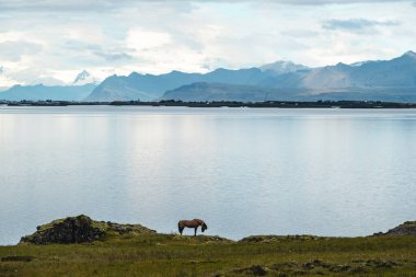 Vestrahorn sıradağları ve Stoksnes plaj panoraması, Hofn, İzlanda yakınlarında.