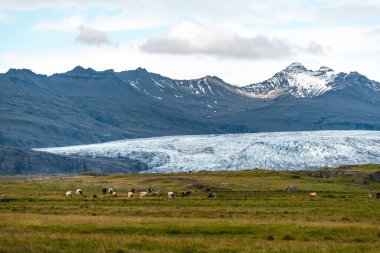 İzlanda'daki Solheimajokull Buzulu