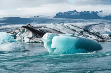 İzlanda, Avrupa 'daki Buzul Gölü Jokulsarlon. Suda büyük mavi buzdağlarıyla.