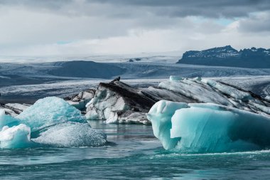 İzlanda, Avrupa 'daki Buzul Gölü Jokulsarlon. Suda büyük mavi buzdağlarıyla.