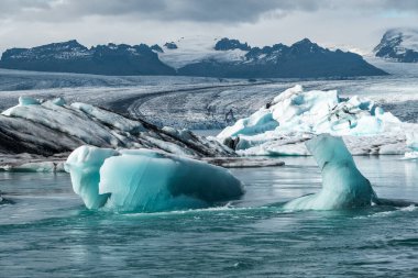 İzlanda, Avrupa 'daki Buzul Gölü Jokulsarlon. Suda büyük mavi buzdağlarıyla.