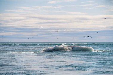 Jokulsarlon Buzul Gölü yakınlarında, İzlanda 'da elmas plajı.