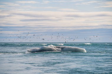 Jokulsarlon Buzul Gölü yakınlarında, İzlanda 'da elmas plajı.