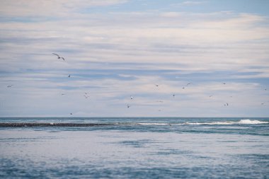 Jokulsarlon Buzul Gölü yakınlarında, İzlanda 'da elmas plajı.