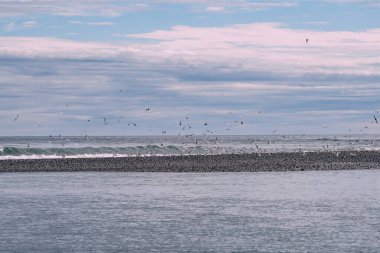 Jokulsarlon Buzul Gölü yakınlarında, İzlanda 'da elmas plajı.