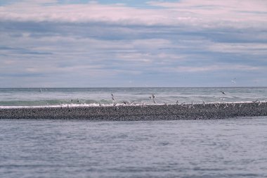 Jokulsarlon Buzul Gölü yakınlarında, İzlanda 'da elmas plajı.