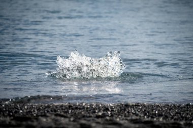 Günbatımında İzlanda 'daki Jokulsarlon buzulu gölünün yakınlarında Diamond Beach' te ternler.