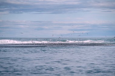 Günbatımında Jokulsarlon buzulu yakınlarında Diamond Beach 'te ternler. 