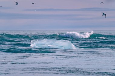 Jokulsarlon Buzul Gölü yakınlarında, İzlanda 'da elmas plajı.