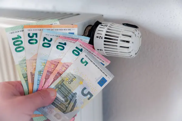 Termostat ve banknotlarla ısıtma maliyeti kavramı