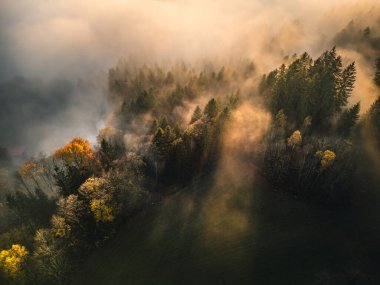 Bavyera Ormanı 'nda günbatımı ve dağlarla birlikte mistik sonbahar havası.