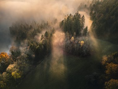 Bavyera Ormanı 'nda günbatımı ve dağlarla birlikte mistik sonbahar havası.
