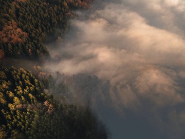 Bavyera Ormanı 'nda günbatımı ve dağlarla birlikte mistik sonbahar havası.