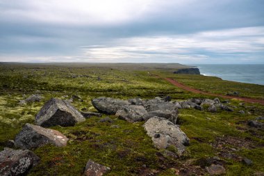 Langanes yarımadasının kıyısındaki bulutlu manzara 