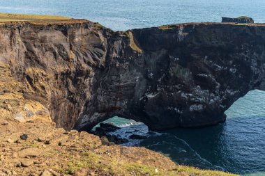 Dyrholaey sahil kayalıkları ve kayalık kemer, Vik, Güney İzlanda. Reyni.